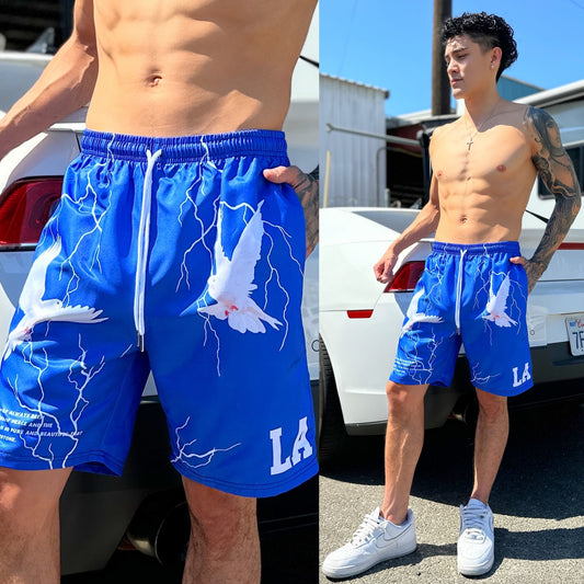 LA Dove of Peace Blue Shorts, Color