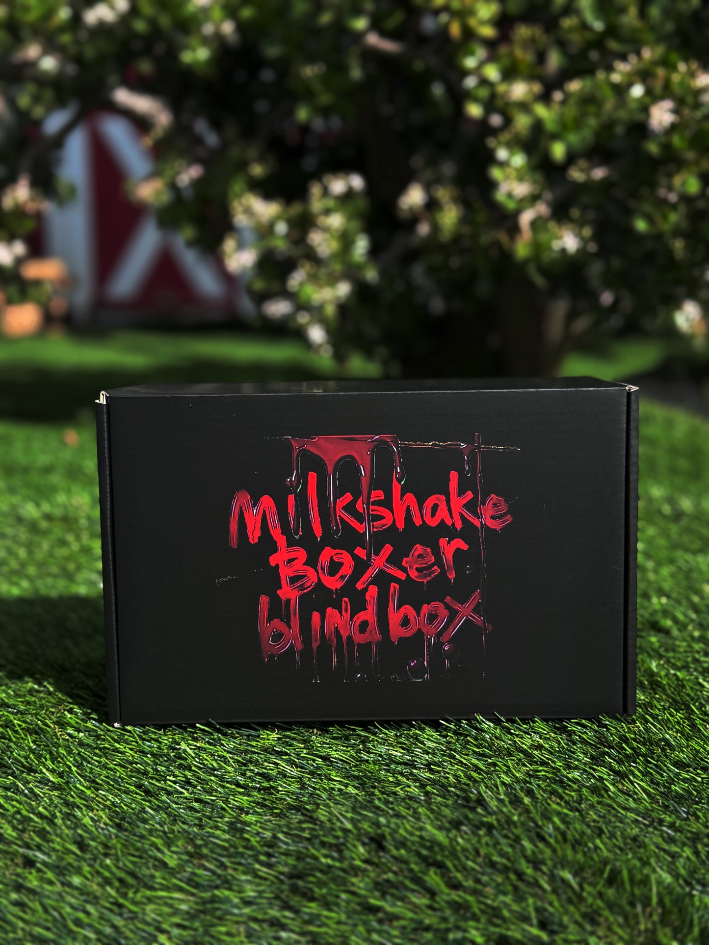 Carpenter Collectibles Deluxe Milkshake Boxer Blind Box